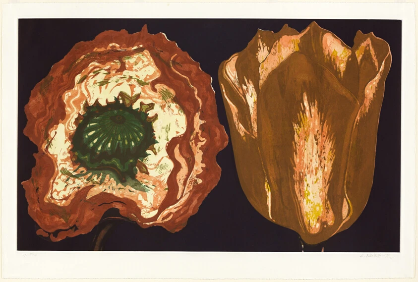 Poppy and Tulip by Lowell Nesbitt