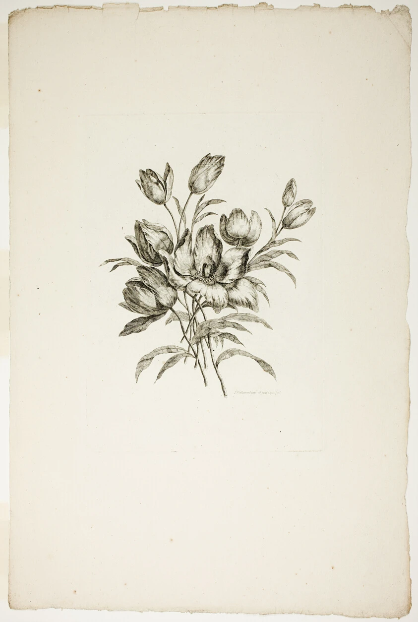 Bouquet with Tulips, from Recueil de differents bouquets de fleurs by Pierre-Charles Canot