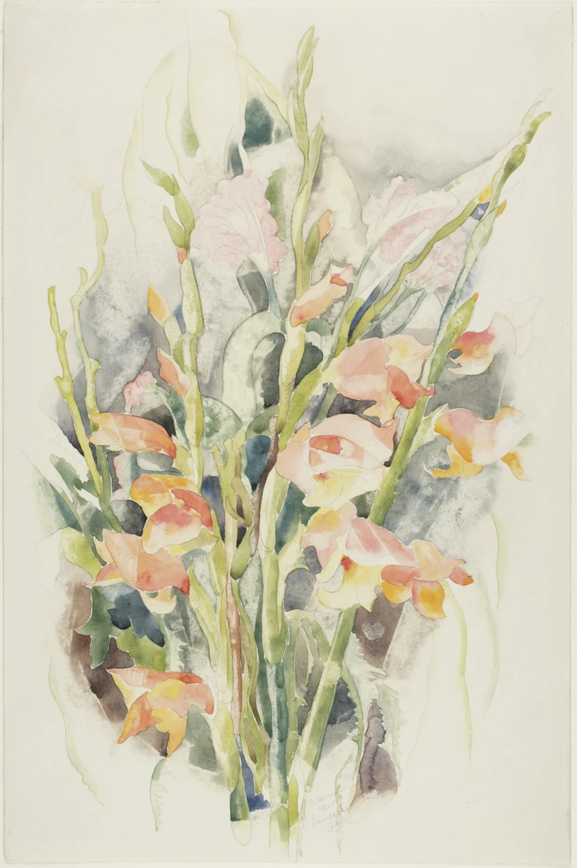 Gladioli - Flower Study #4 by Charles Demuth