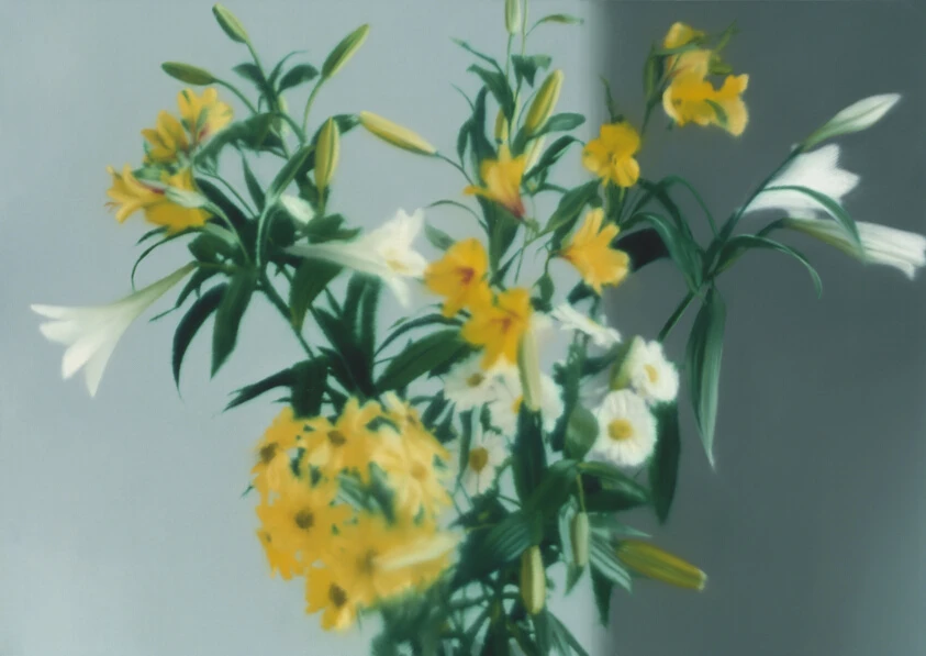 Flowers (Blumen) by Gerhard Richter