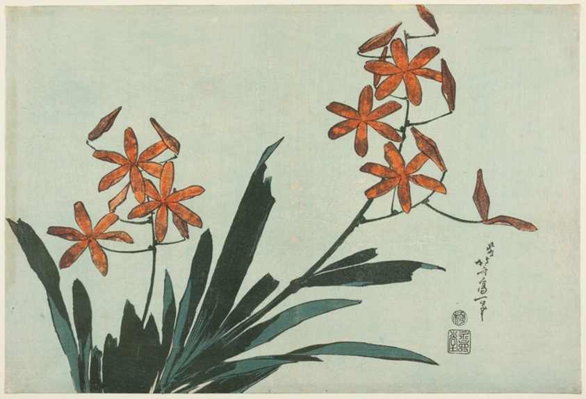 Orange Orchids, from an untitled series of flowers by Katsushika Hokusai