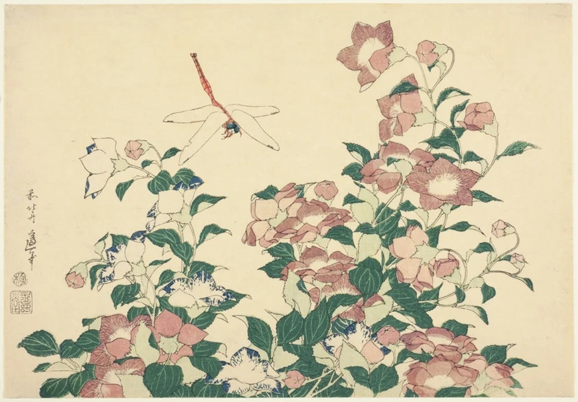 Bell-Flower and Dragonfly, from an untitled series of large flowers by Katsushika Hokusai