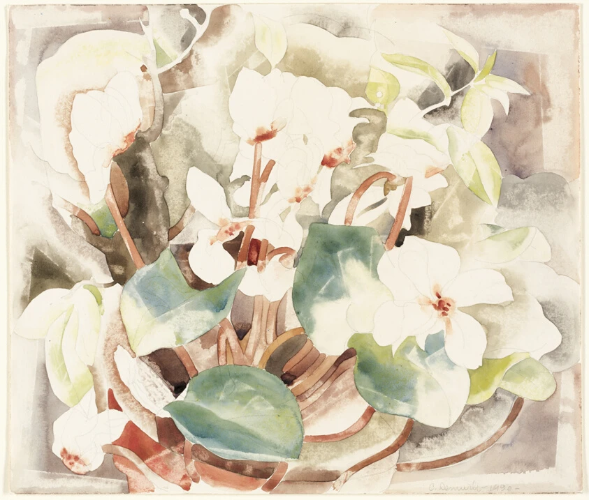 Flowers (Cyclamen) by Charles Demuth
