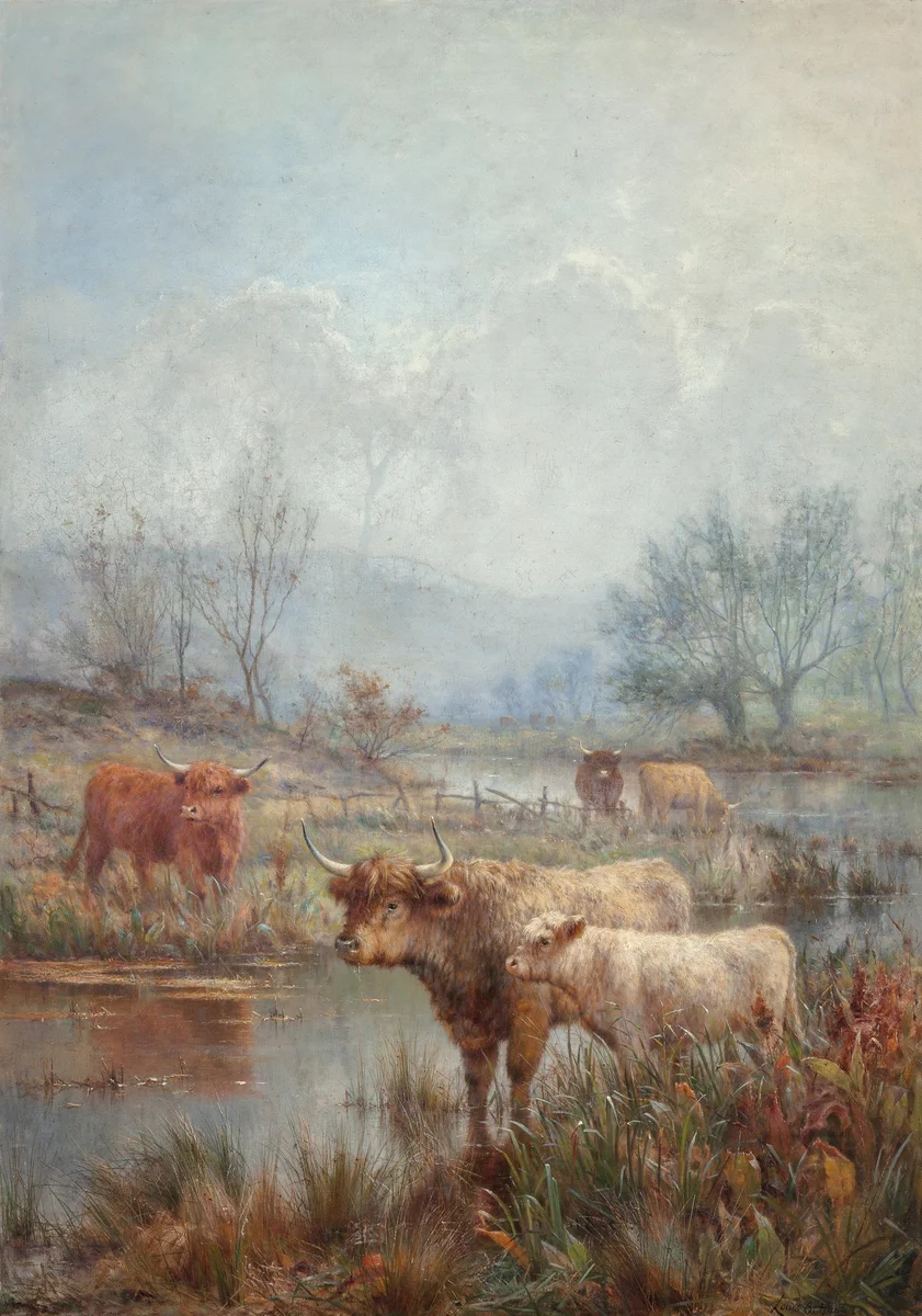 Bull 1