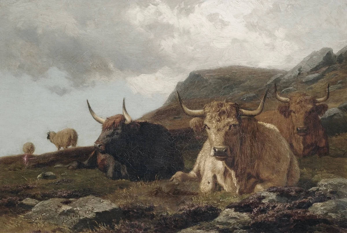 Bull 2