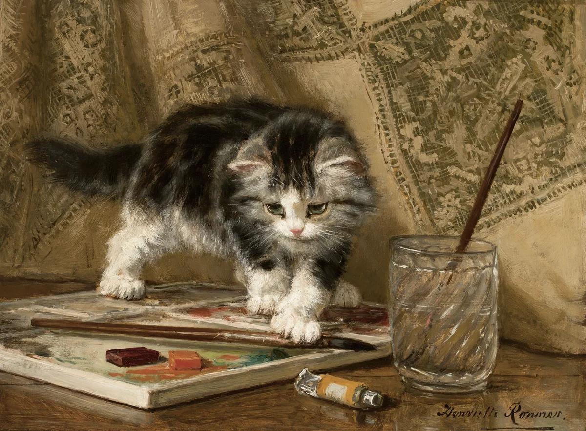 Cats 5 1