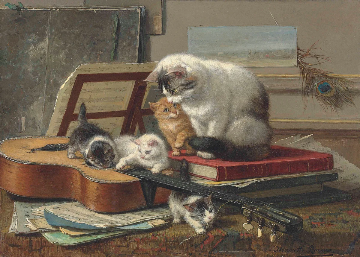 Cats 5 2