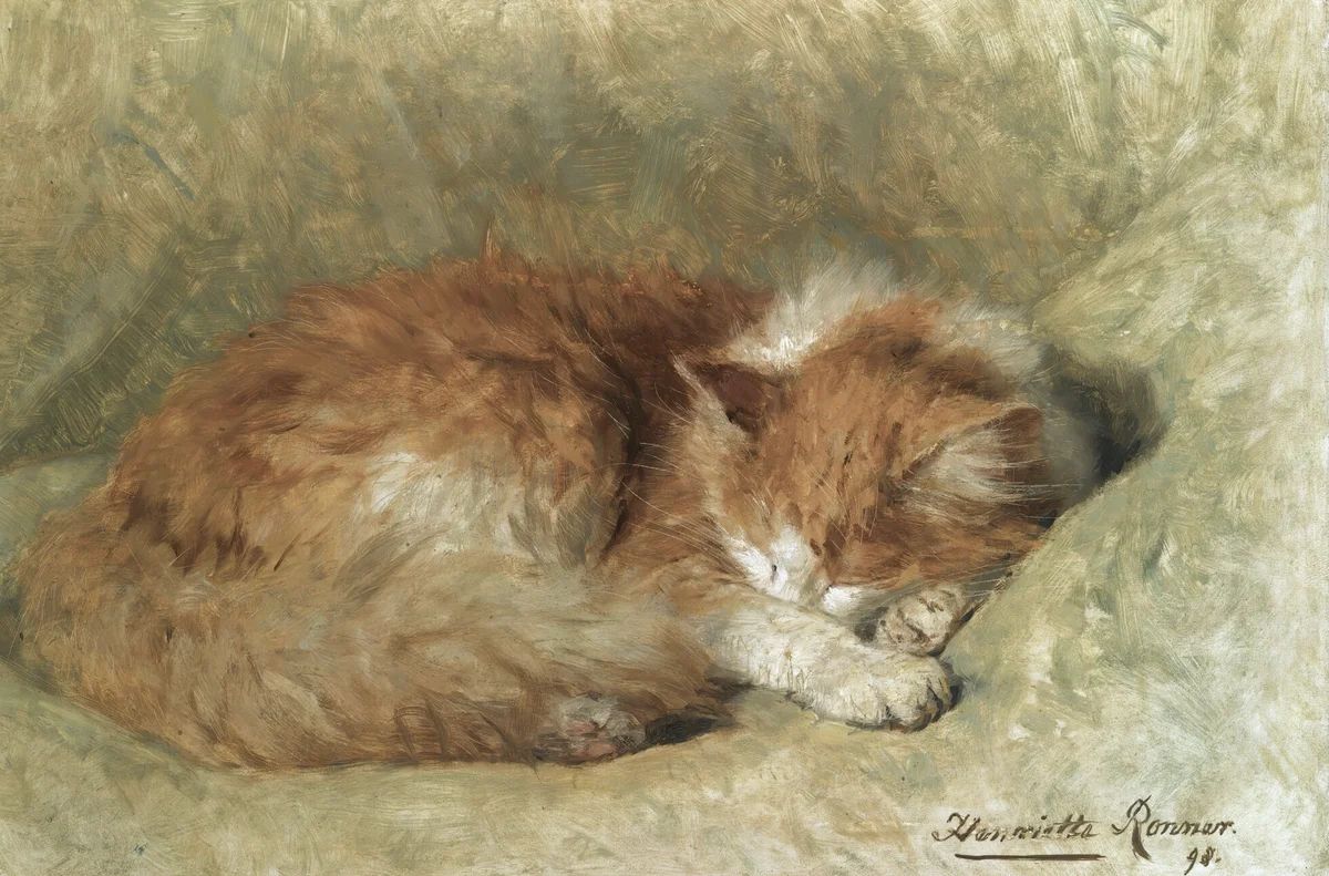 Cats 8 1