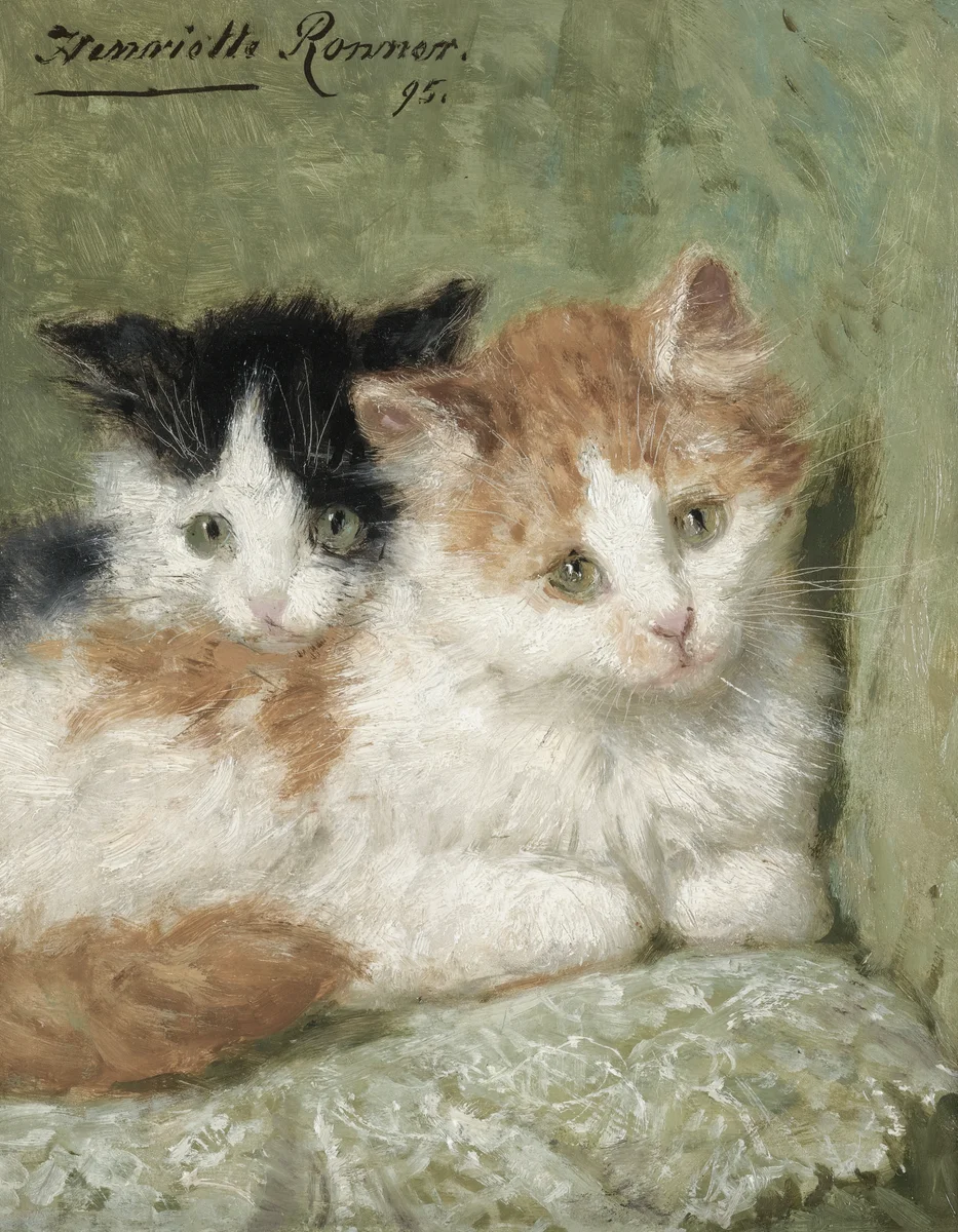 Cats 5 4