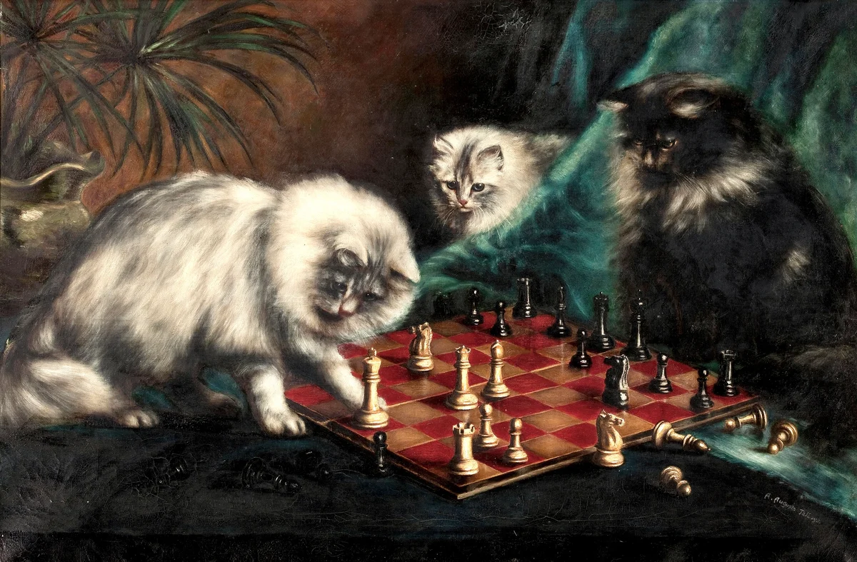 Cats 8 3