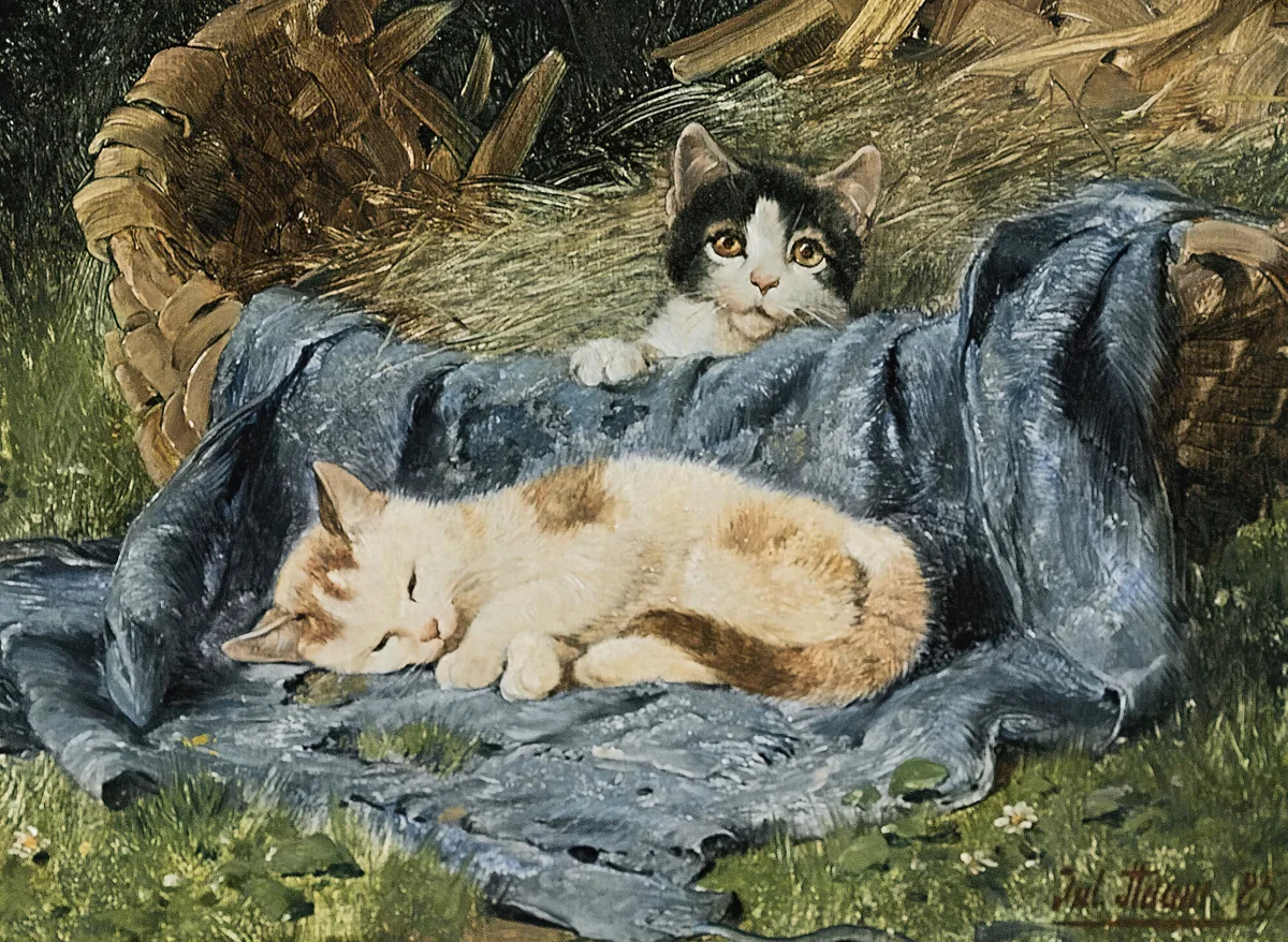 Cats 8 5