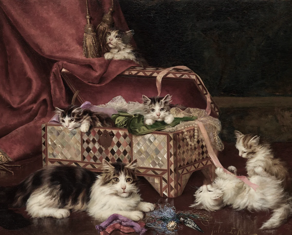 Cats 1