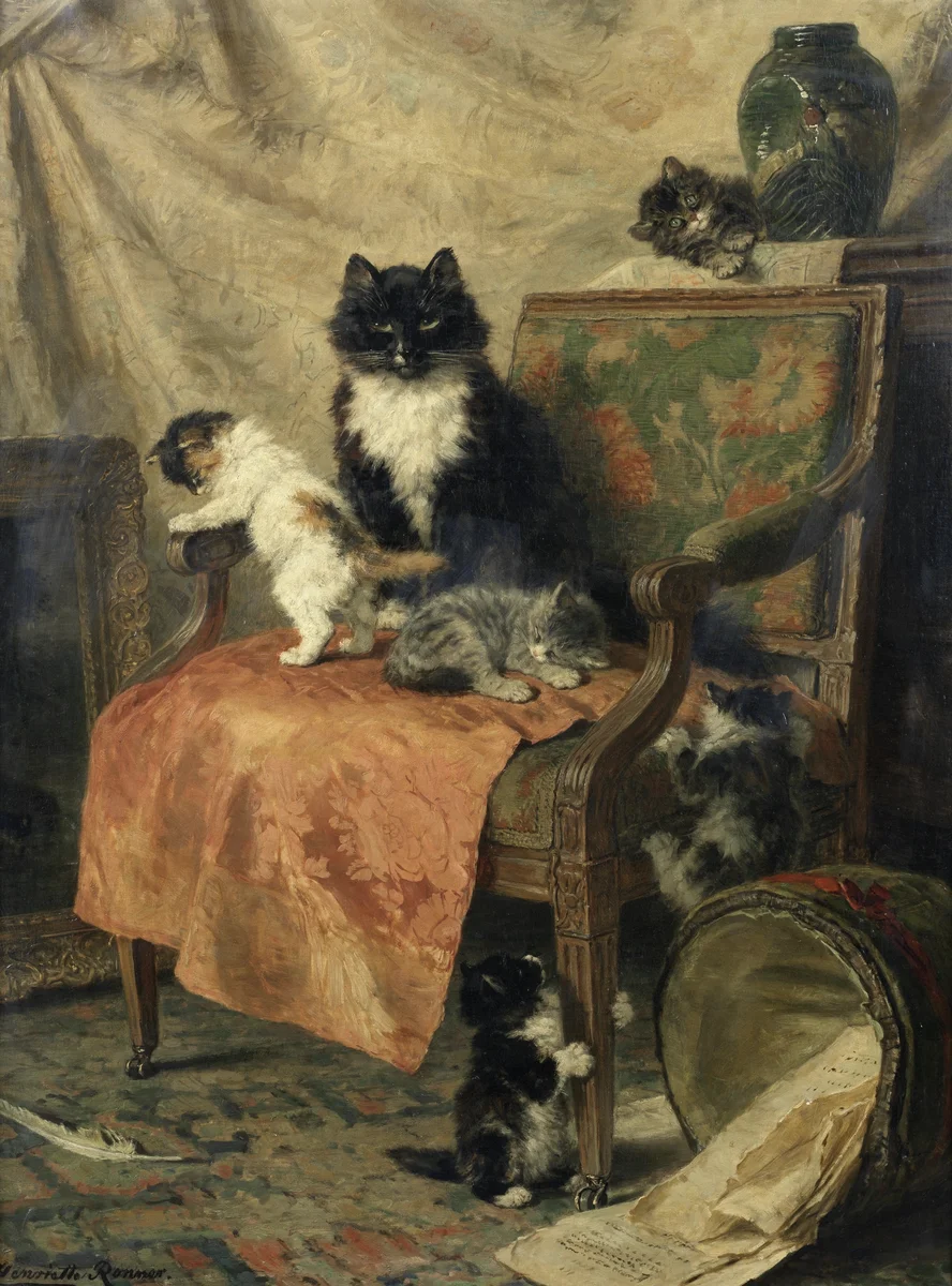 Cats 10