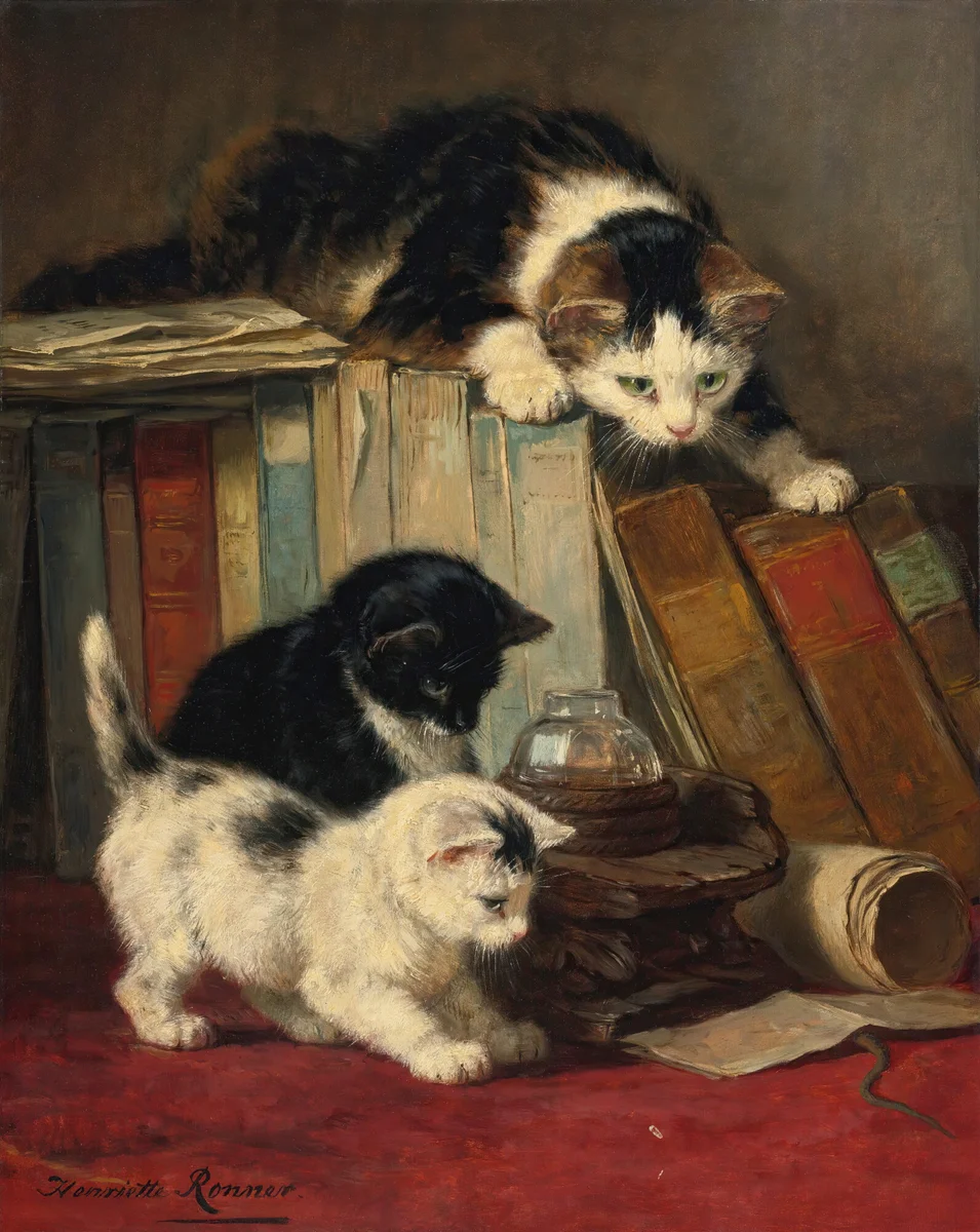 Cats 12