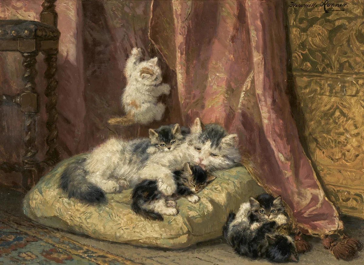 Cats 13