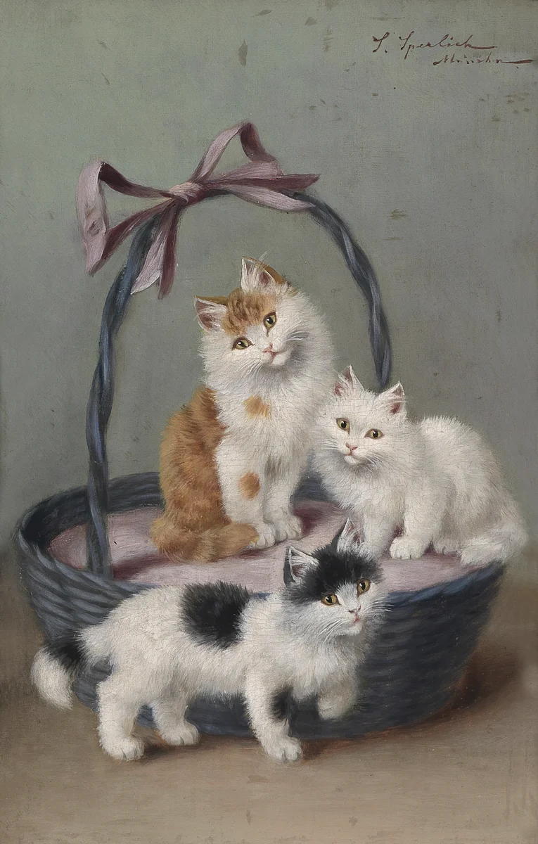 Cats 11