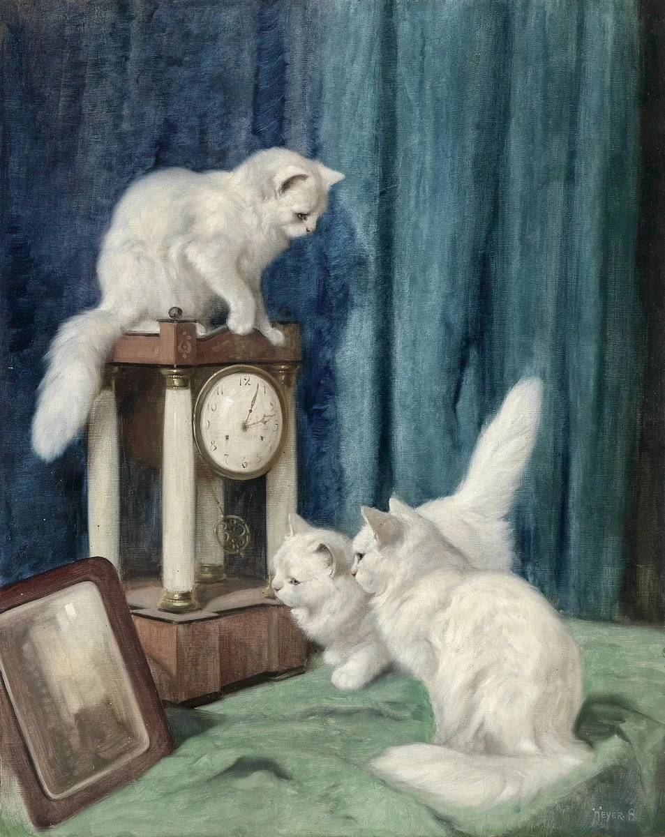 Cats 14