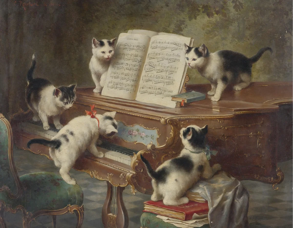 Cats 15