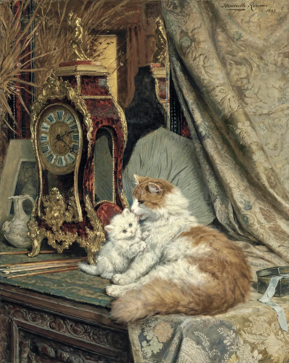 Cats 19