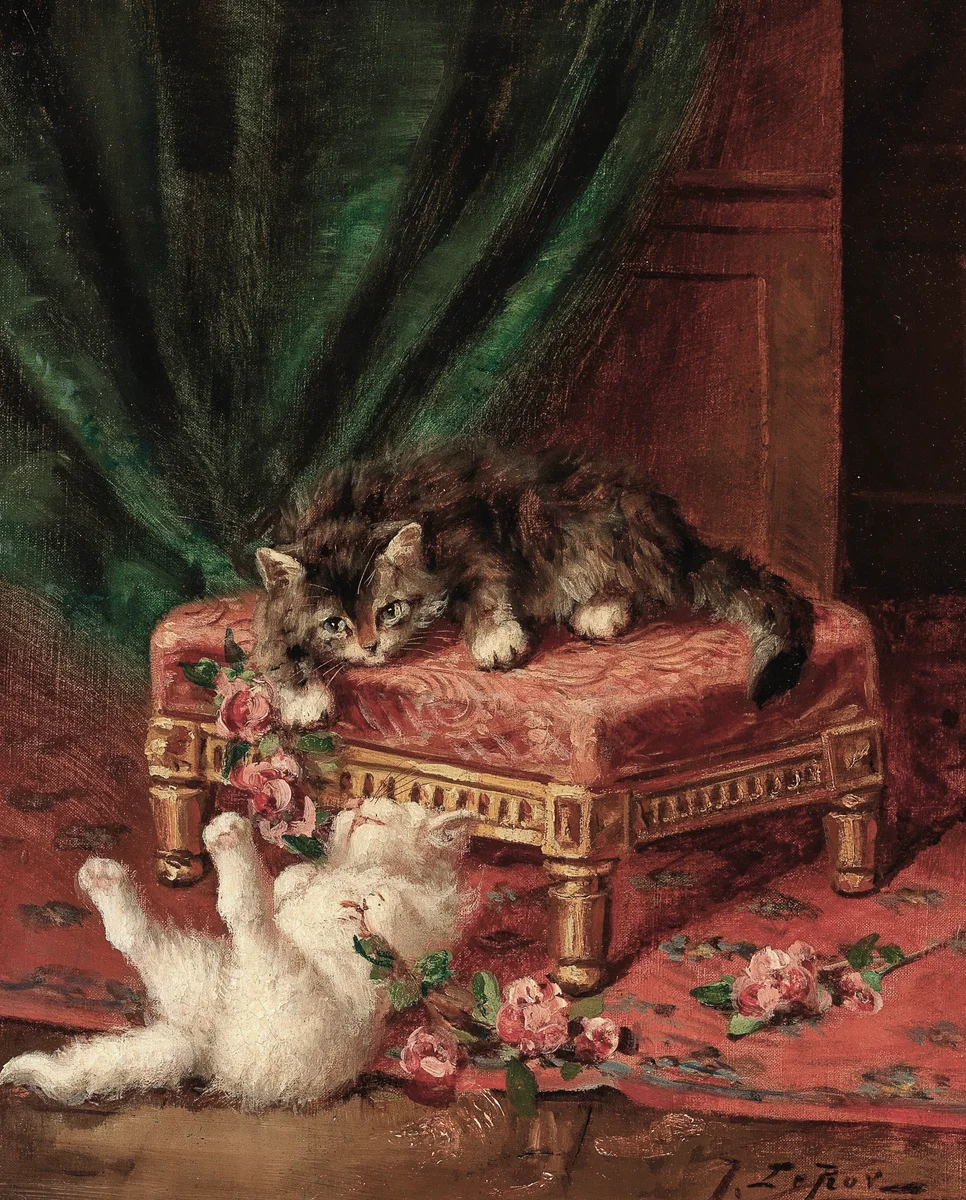 Cats 2
