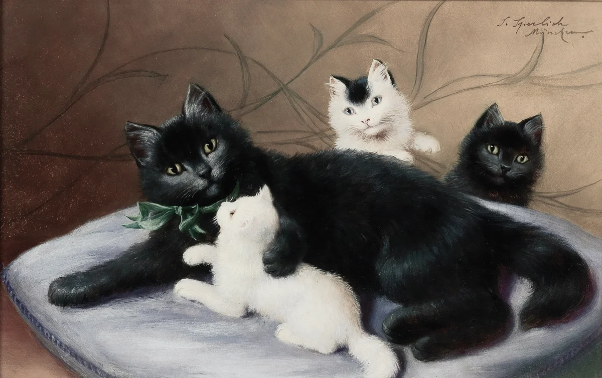 Cats 21