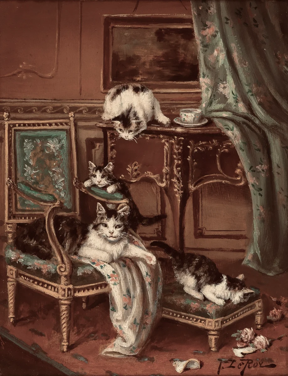 Cats 23