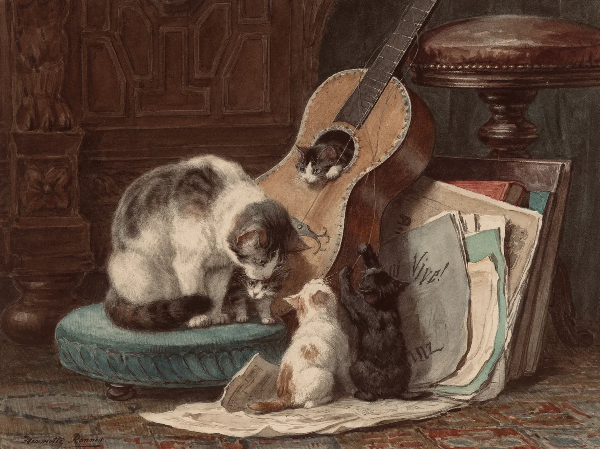 Cats 25