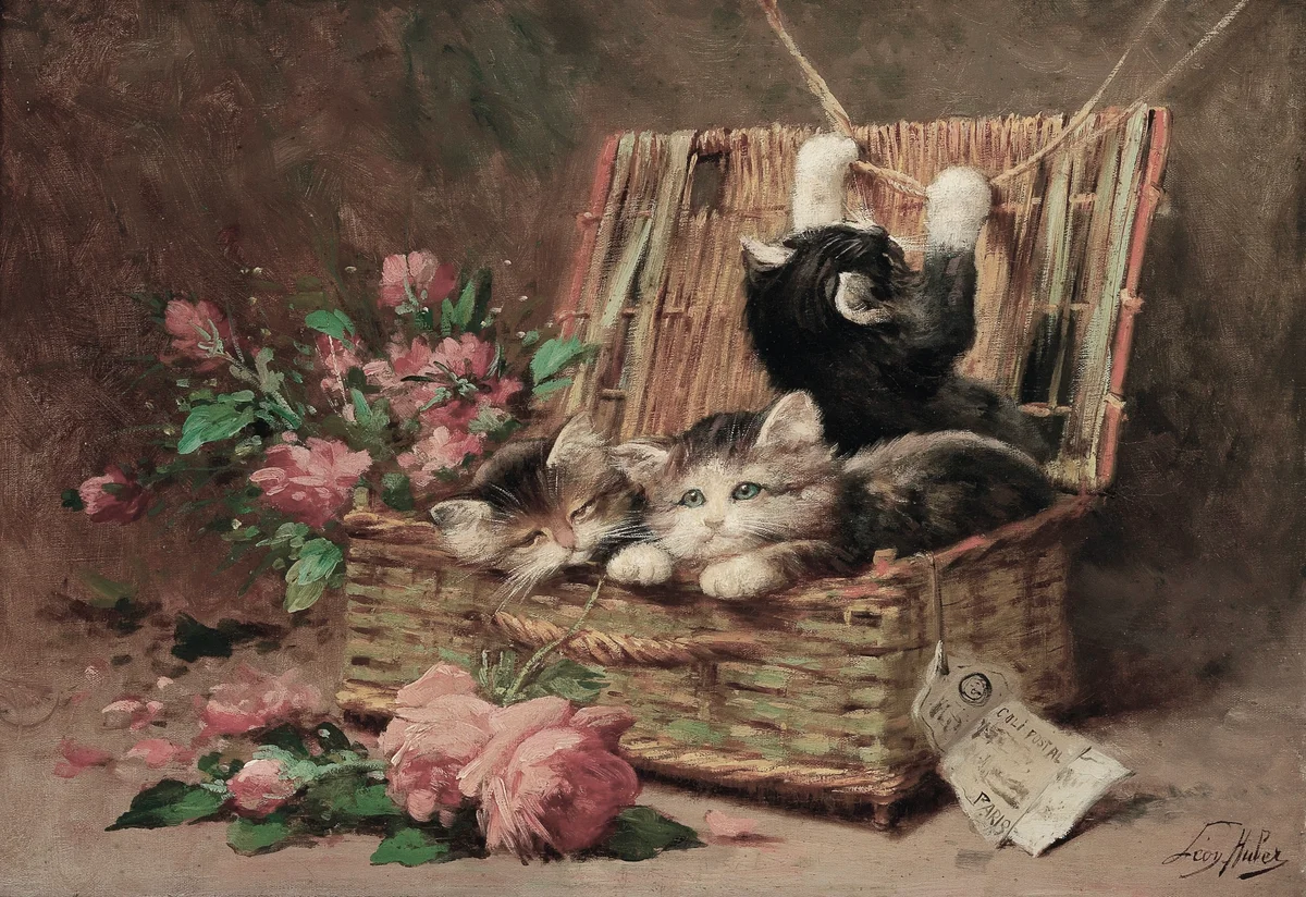 Cats 27