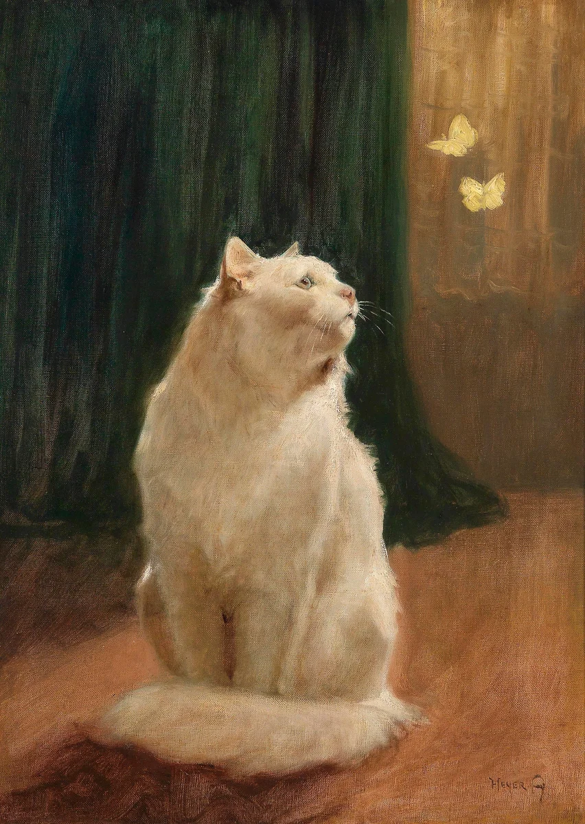 Cats 3