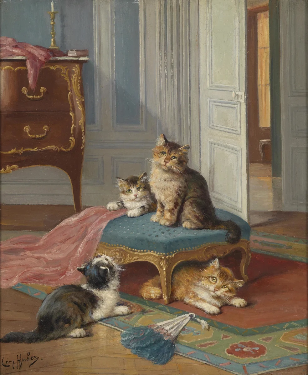 Cats 4