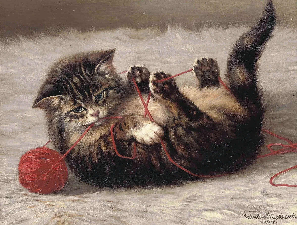 Cats 5