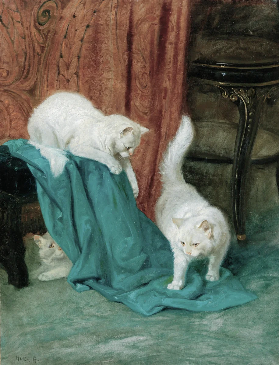 Cats 7