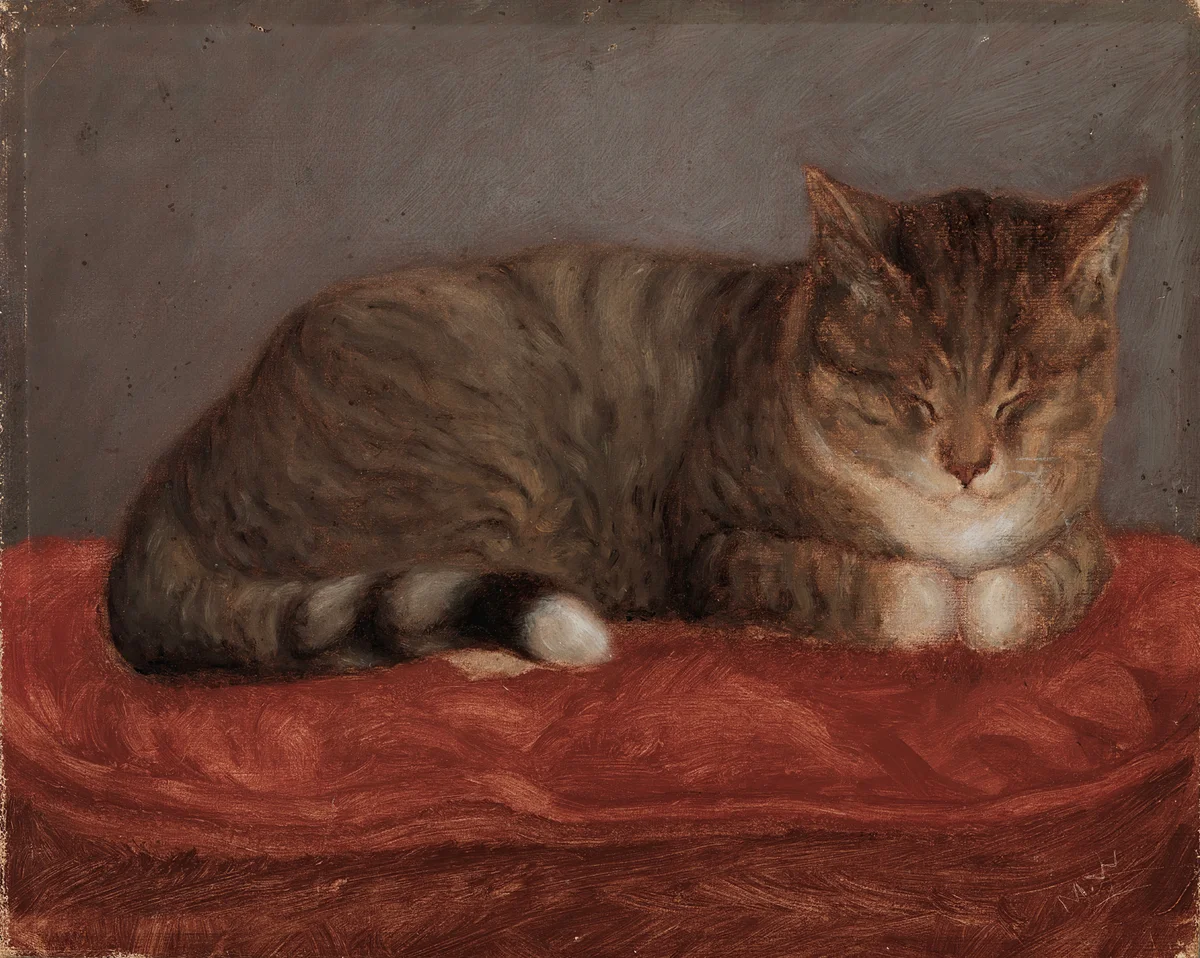 Cats 8