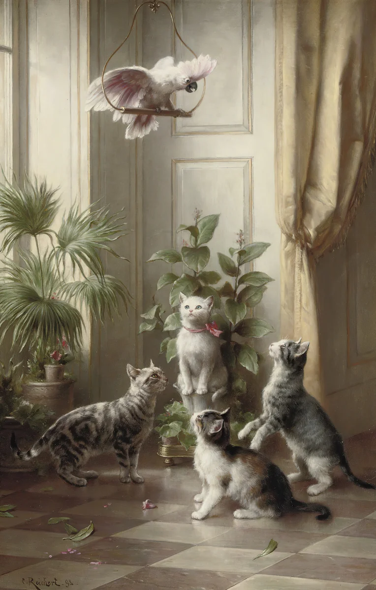 Cats 9