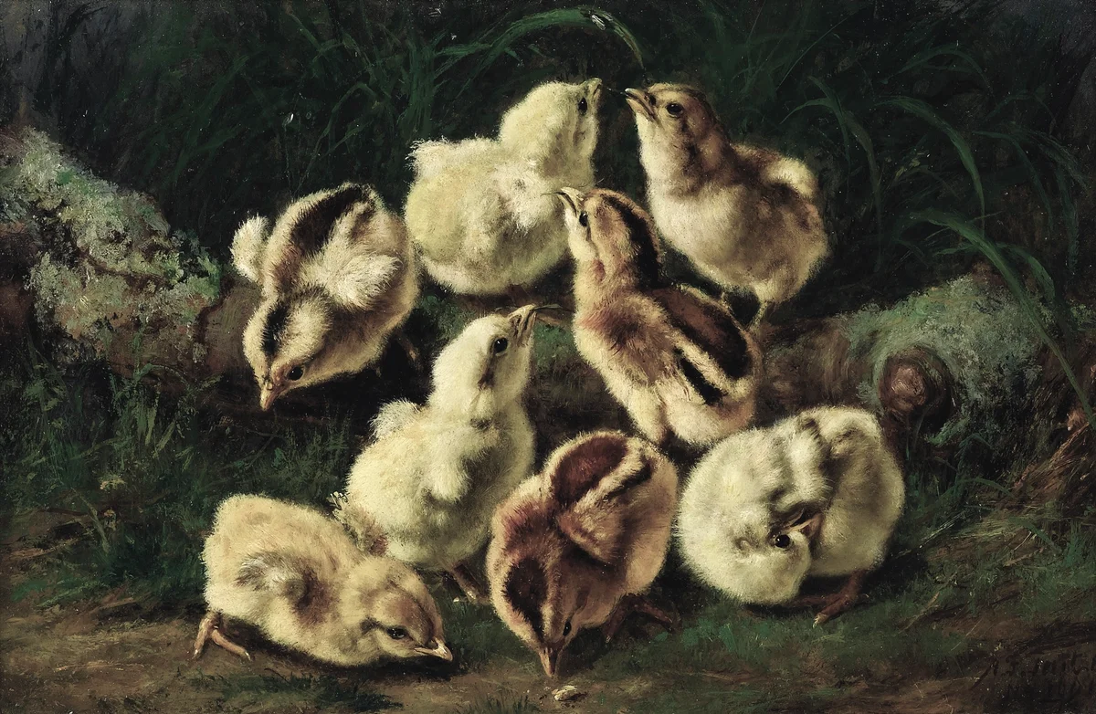 Chicken 11