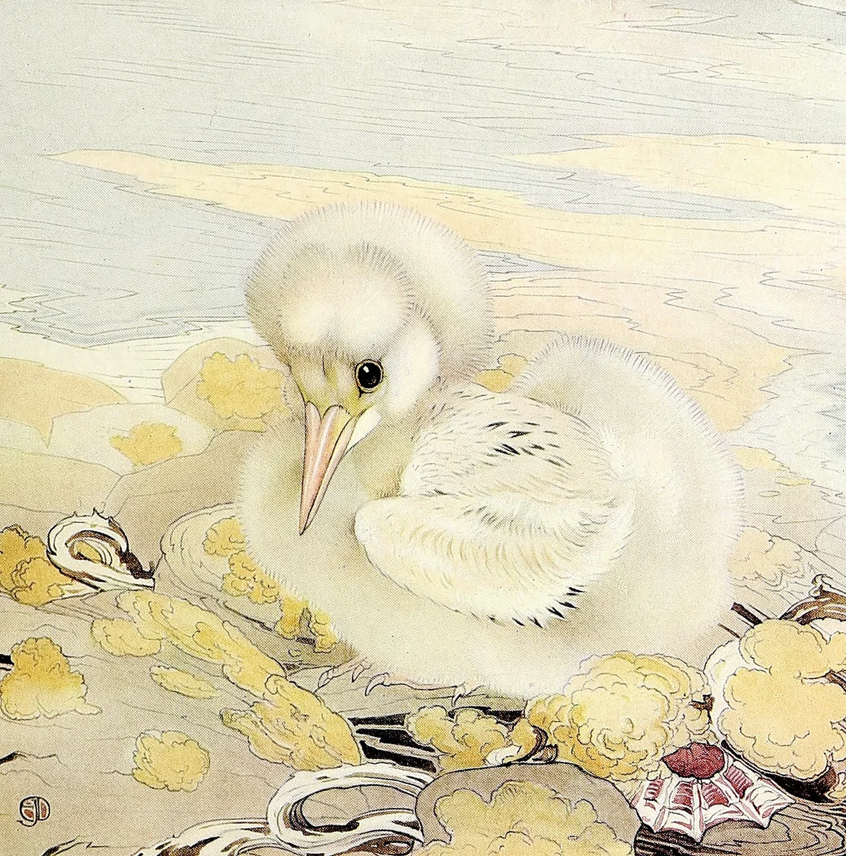 Chicken 2