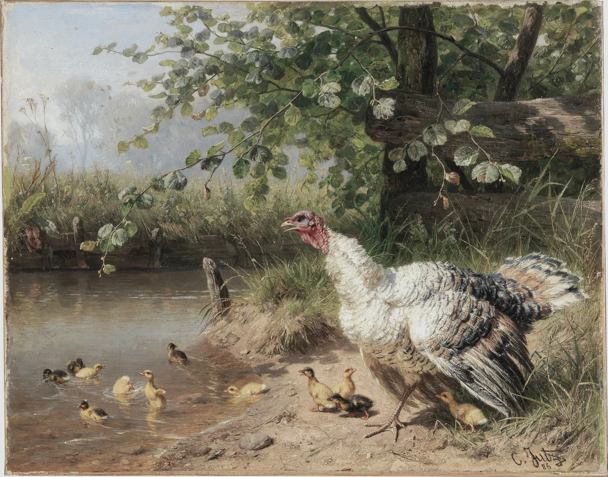 Chicken 7