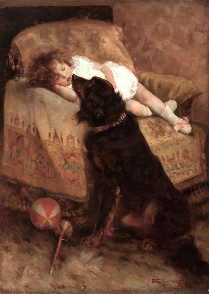 Children with Animals 0 9