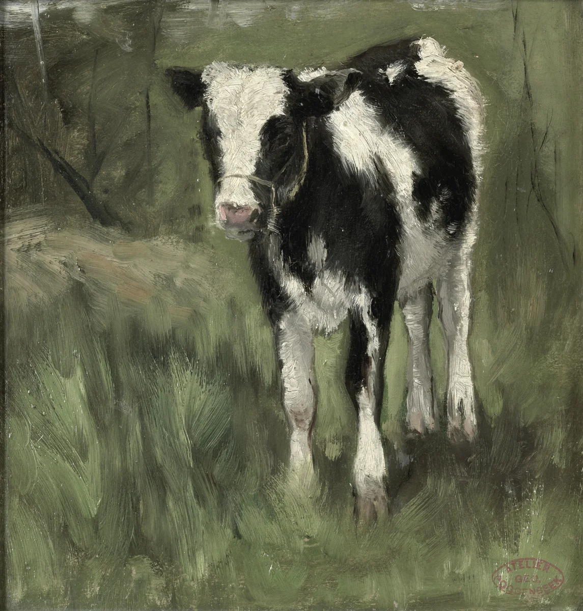 Cows 1