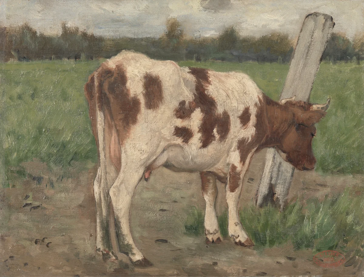 Cows 2