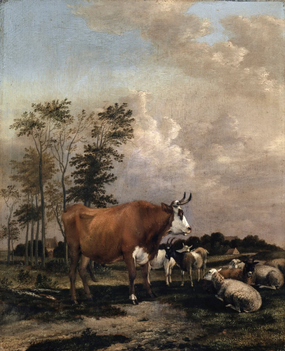 Cows 4