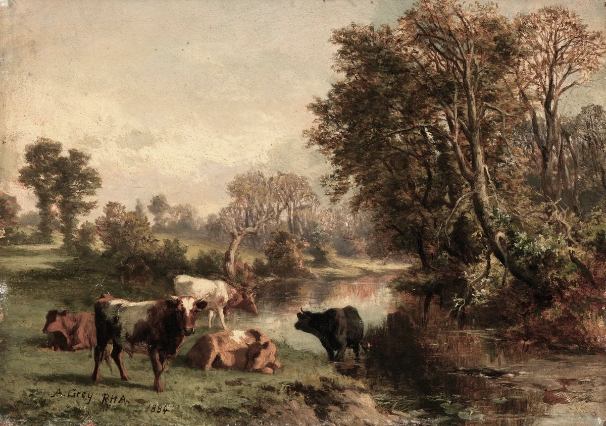 Cows 109 3