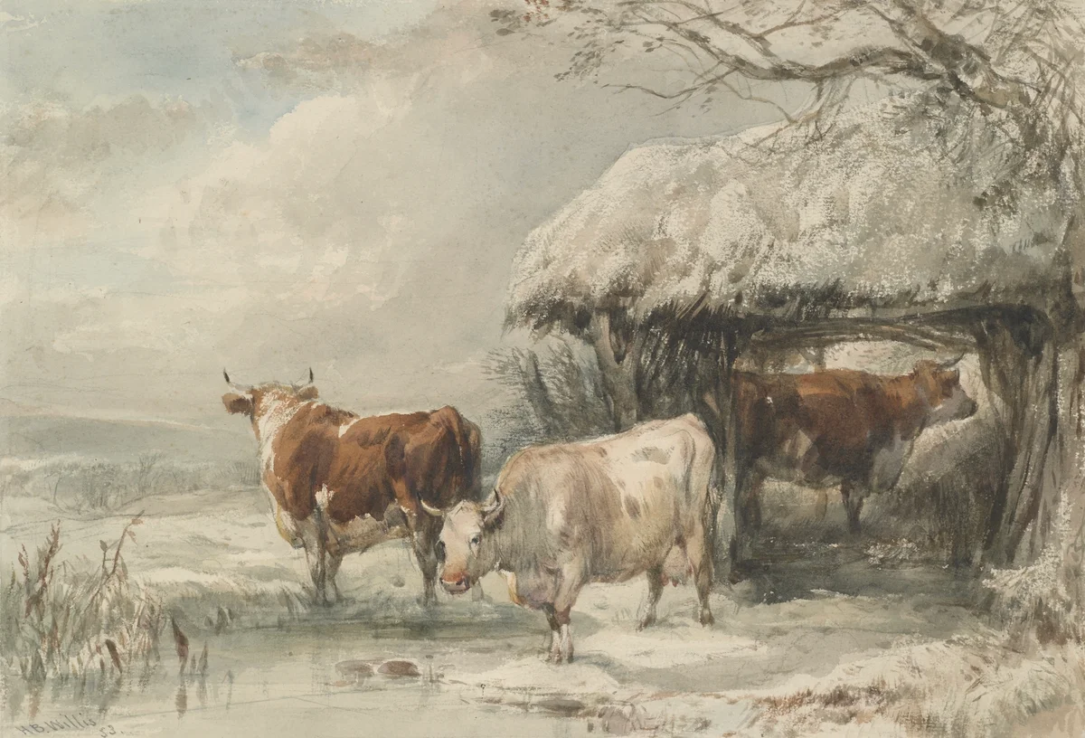 Cows 109 6