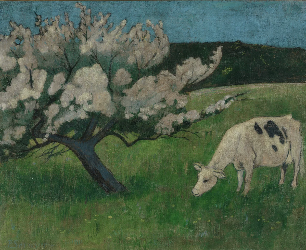 Cows 134 1