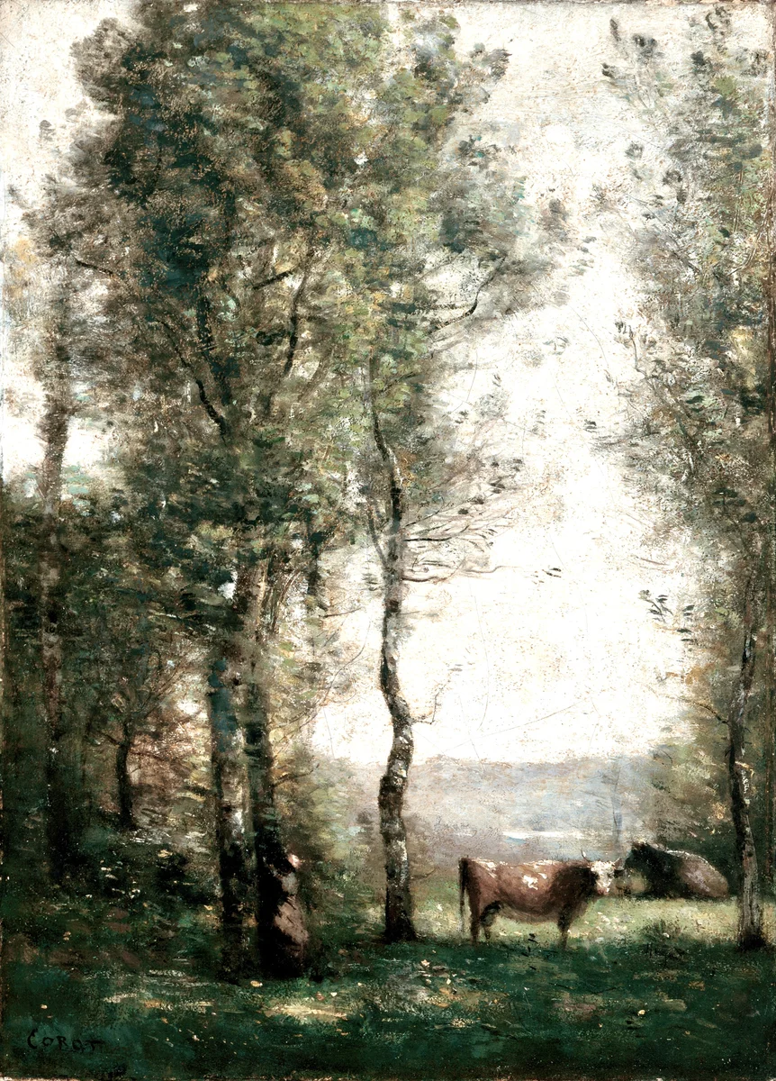 Cows 134 2