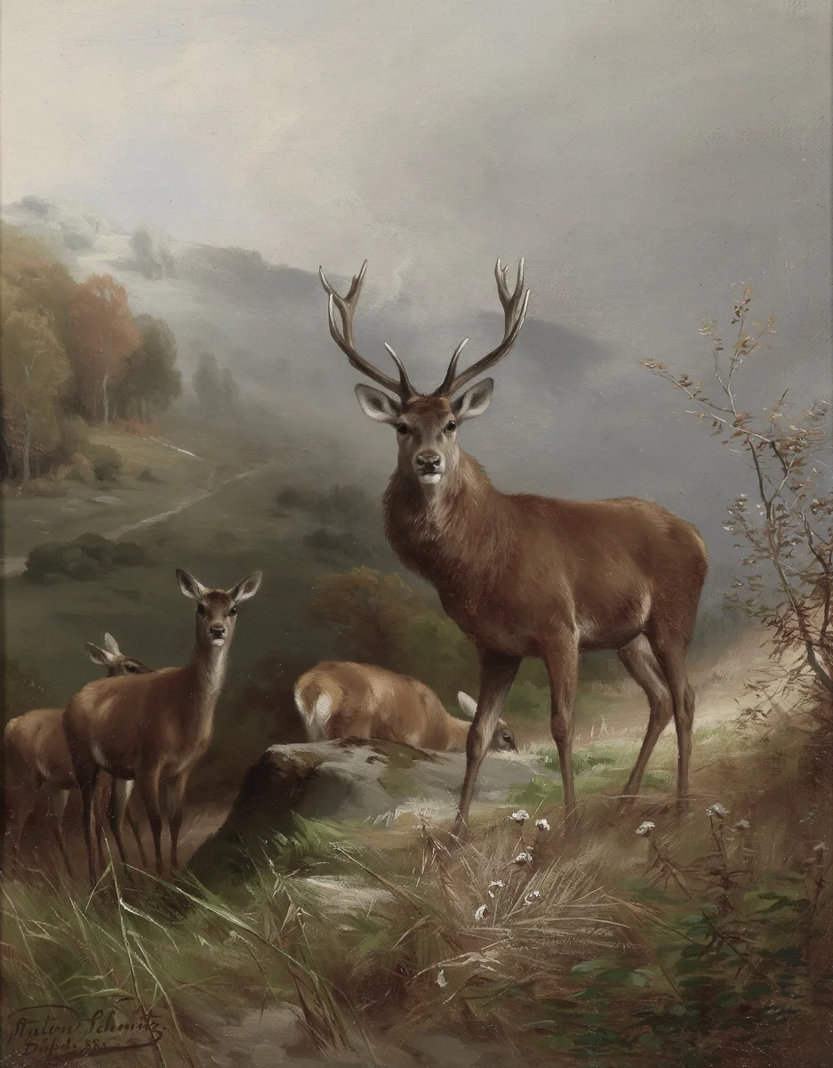 Deer 3