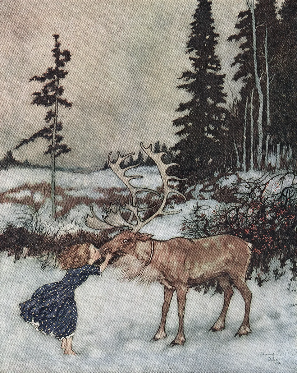 Deer 4