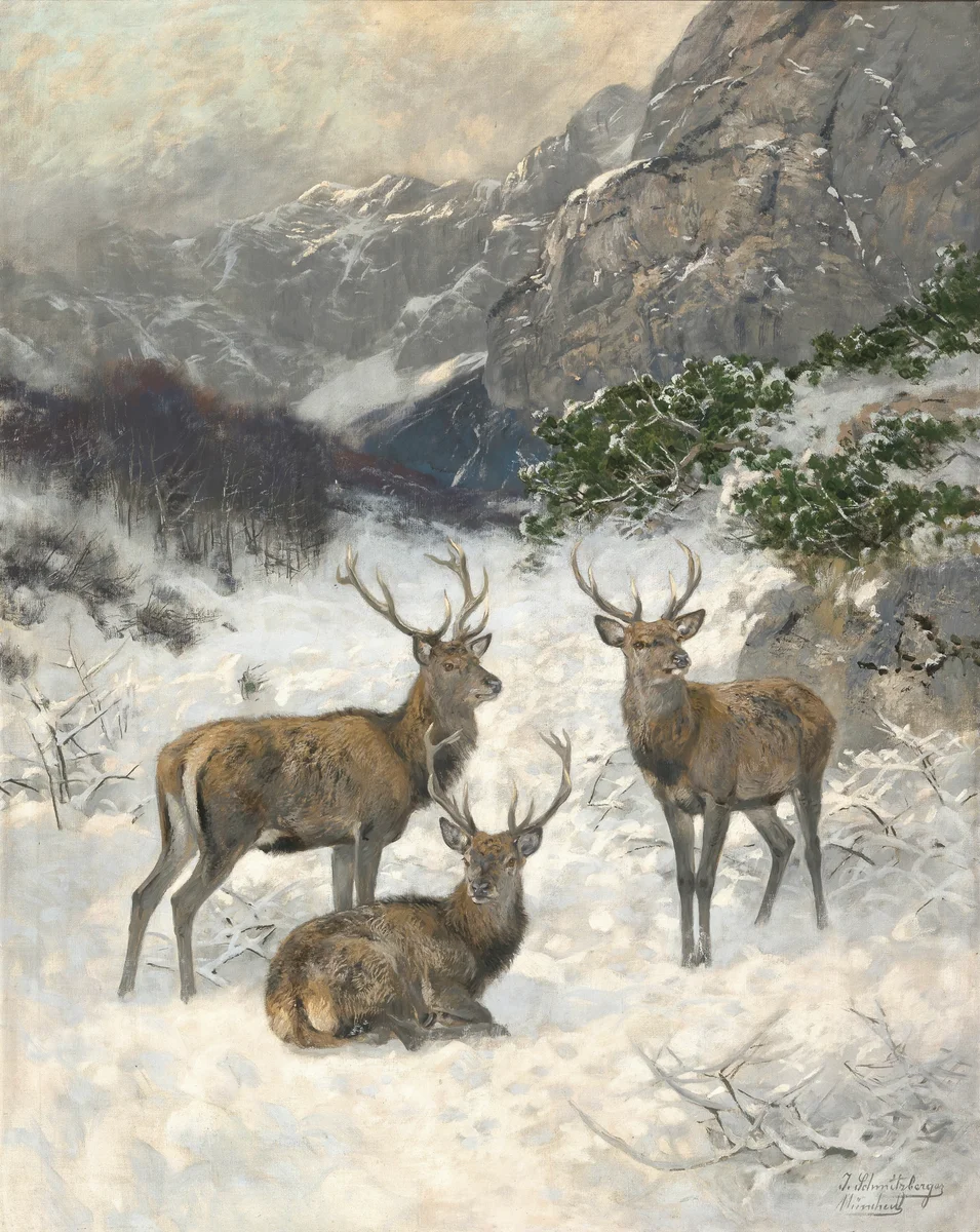 Deer 5