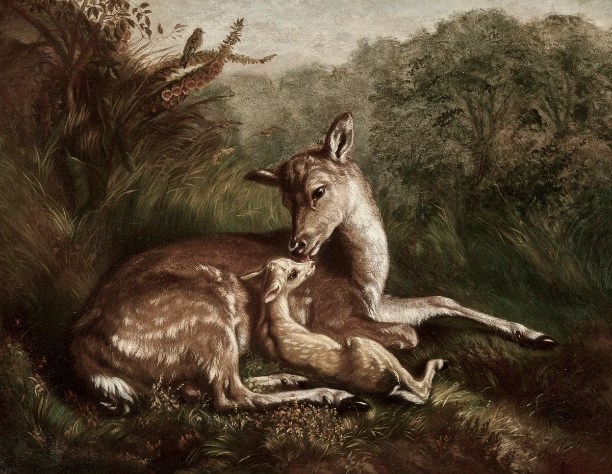Deer 3 2