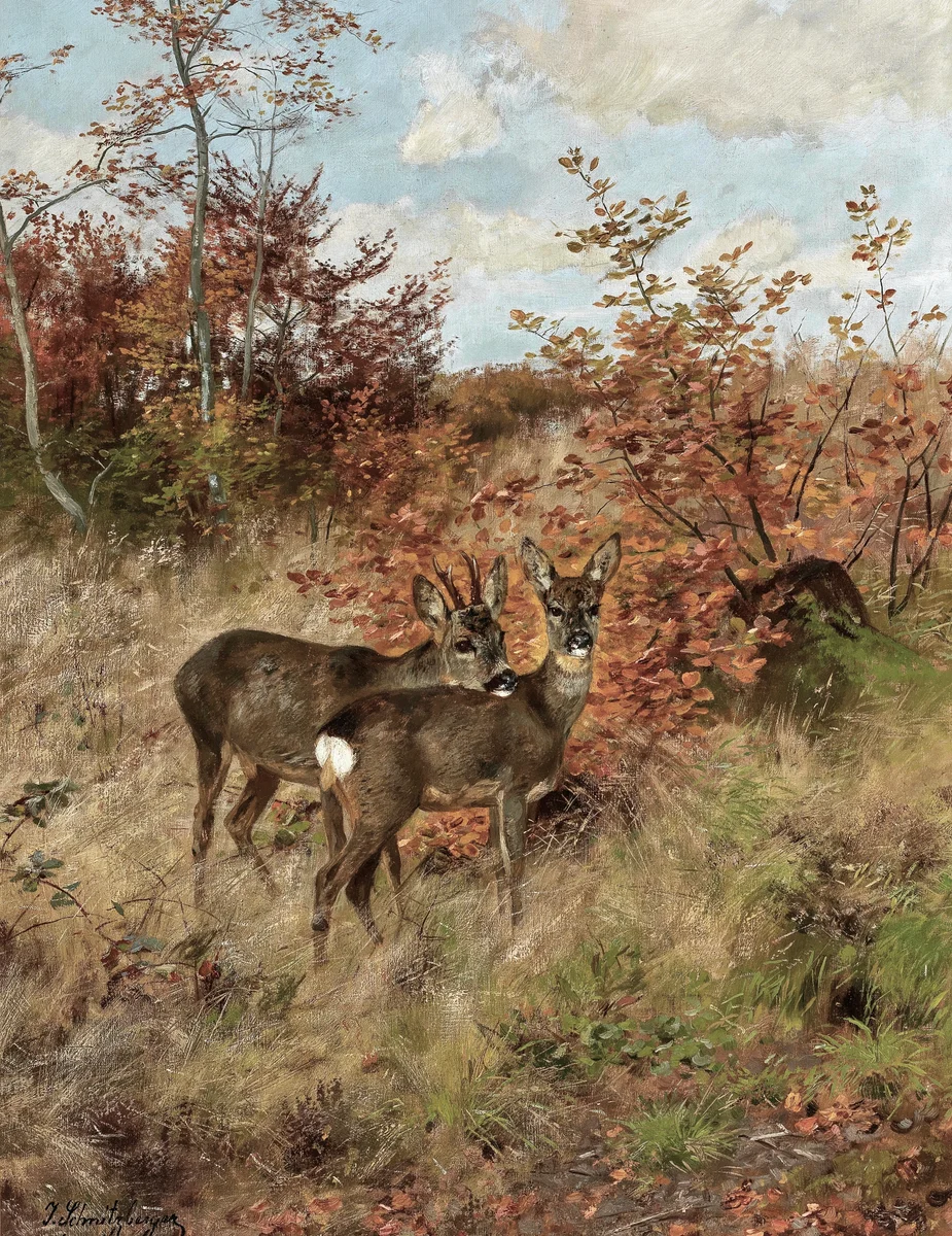 Deer 3 3
